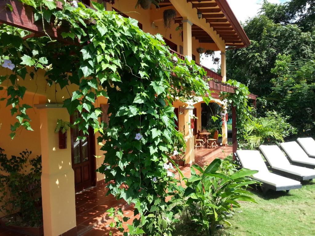 Hotel Green Jacó Buitenkant foto