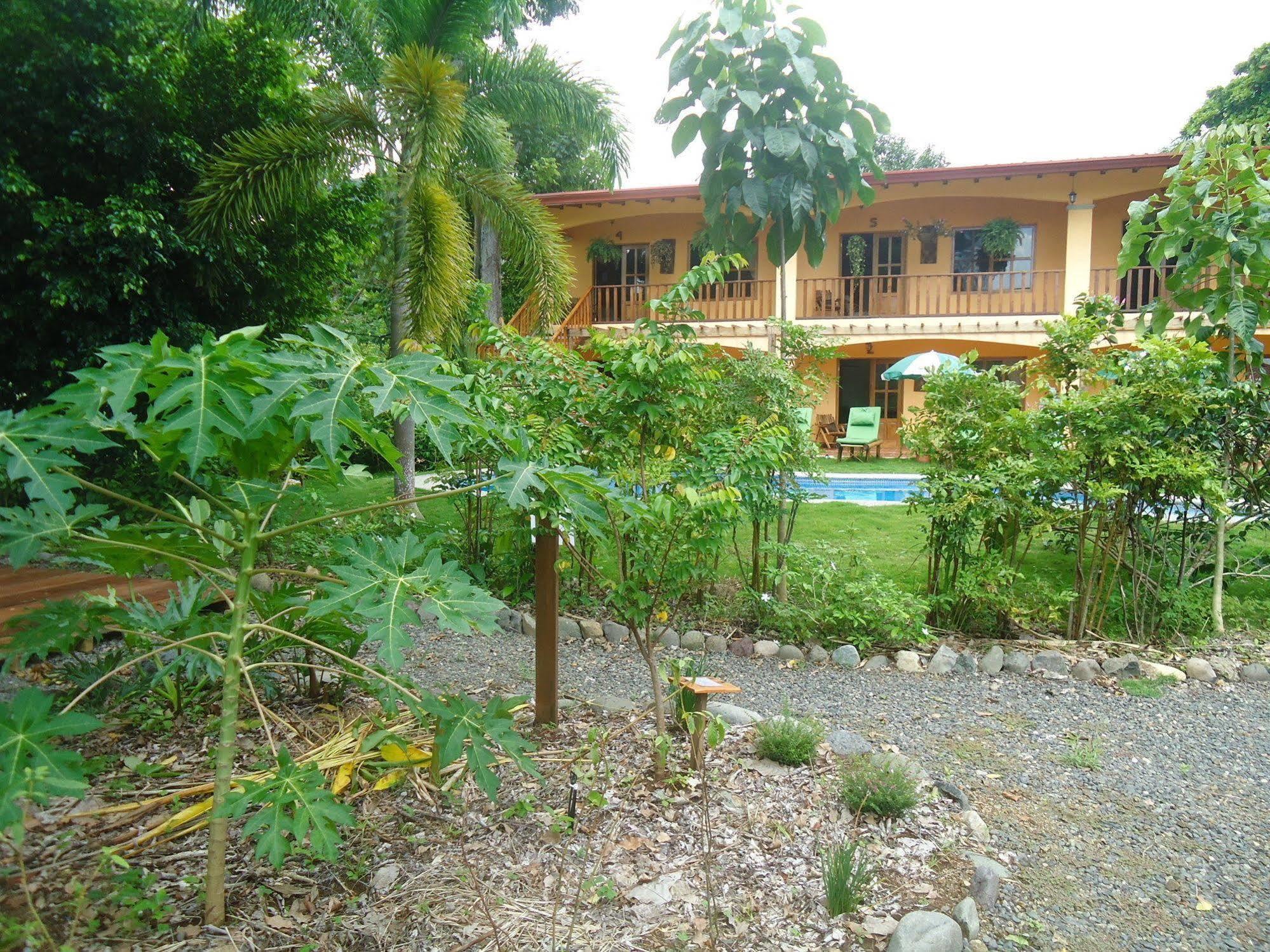 Hotel Green Jacó Buitenkant foto